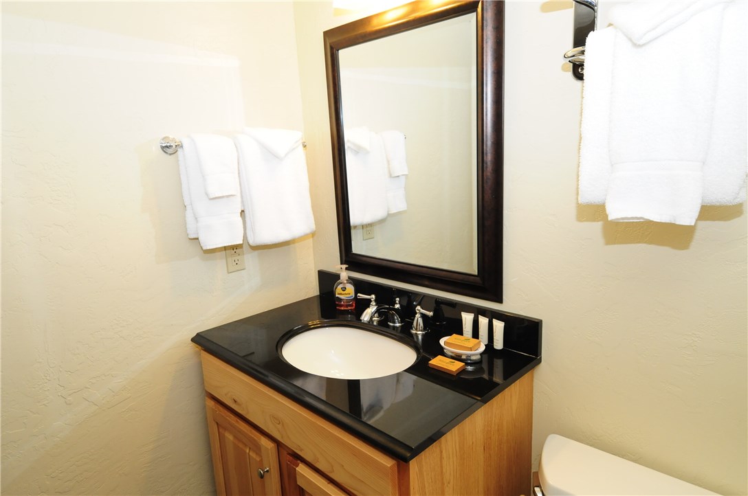 820 Columbine Road, Unit 1 Breckenridge, CO 80424 - Photo 5 of 25 Gallery Image 5