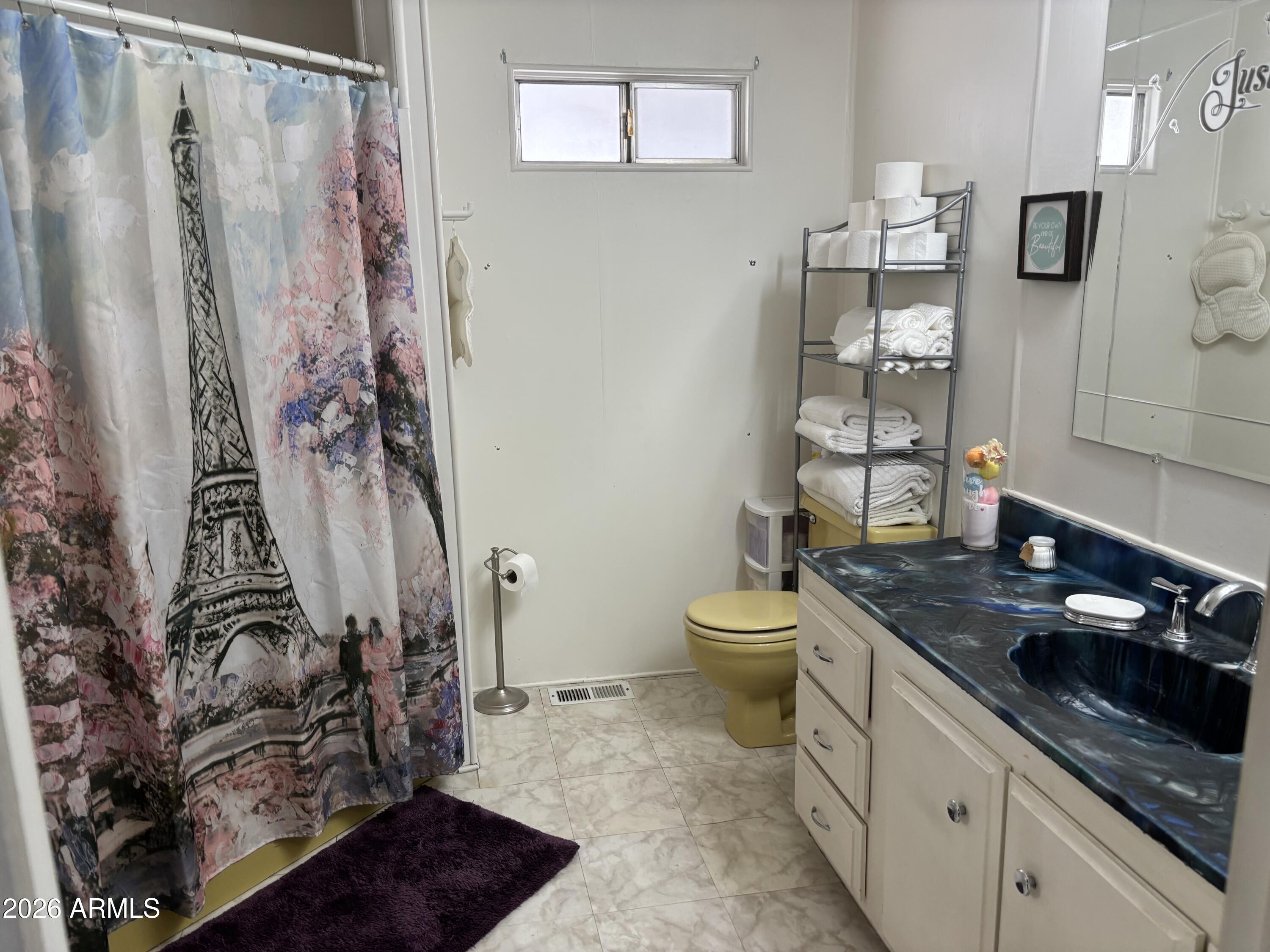 701 South Dobson Road, Unit 448 Mesa, AZ 85202 - Photo 25 of 35 Main Bathroom-1