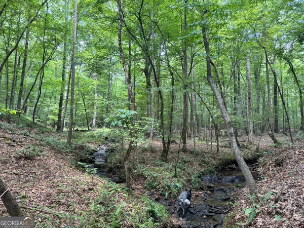 $697,205 | 140-ac Hwy 100, Franklin, GA 30217