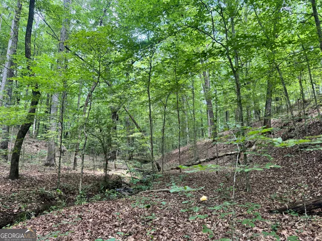 a view of a small pool