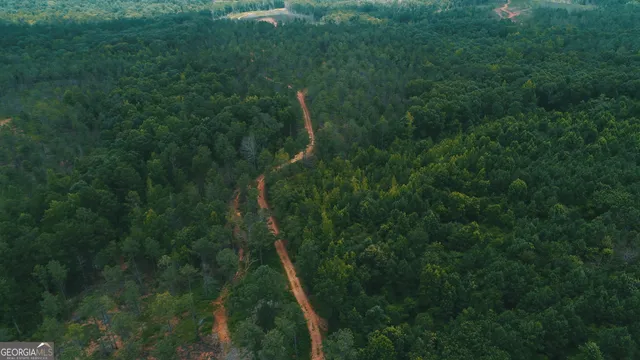 $735,744 | 140-ac Hwy 100, Franklin, GA 30217