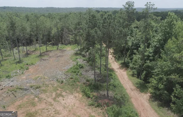 a view of a yard with plants and trees