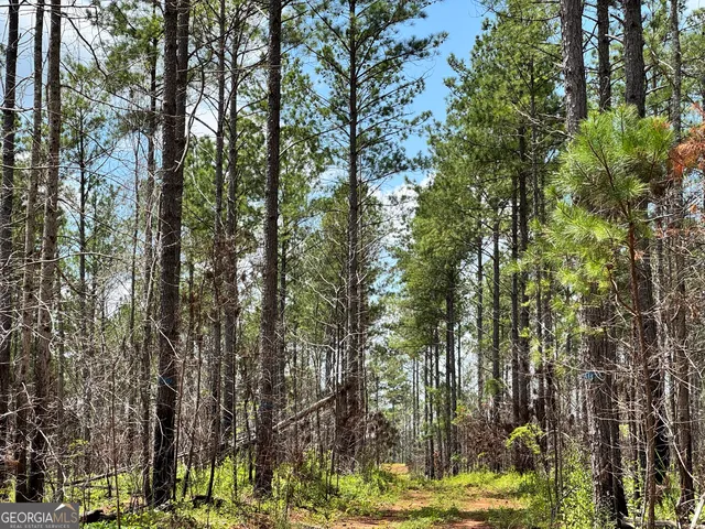 a close view of a bathroom