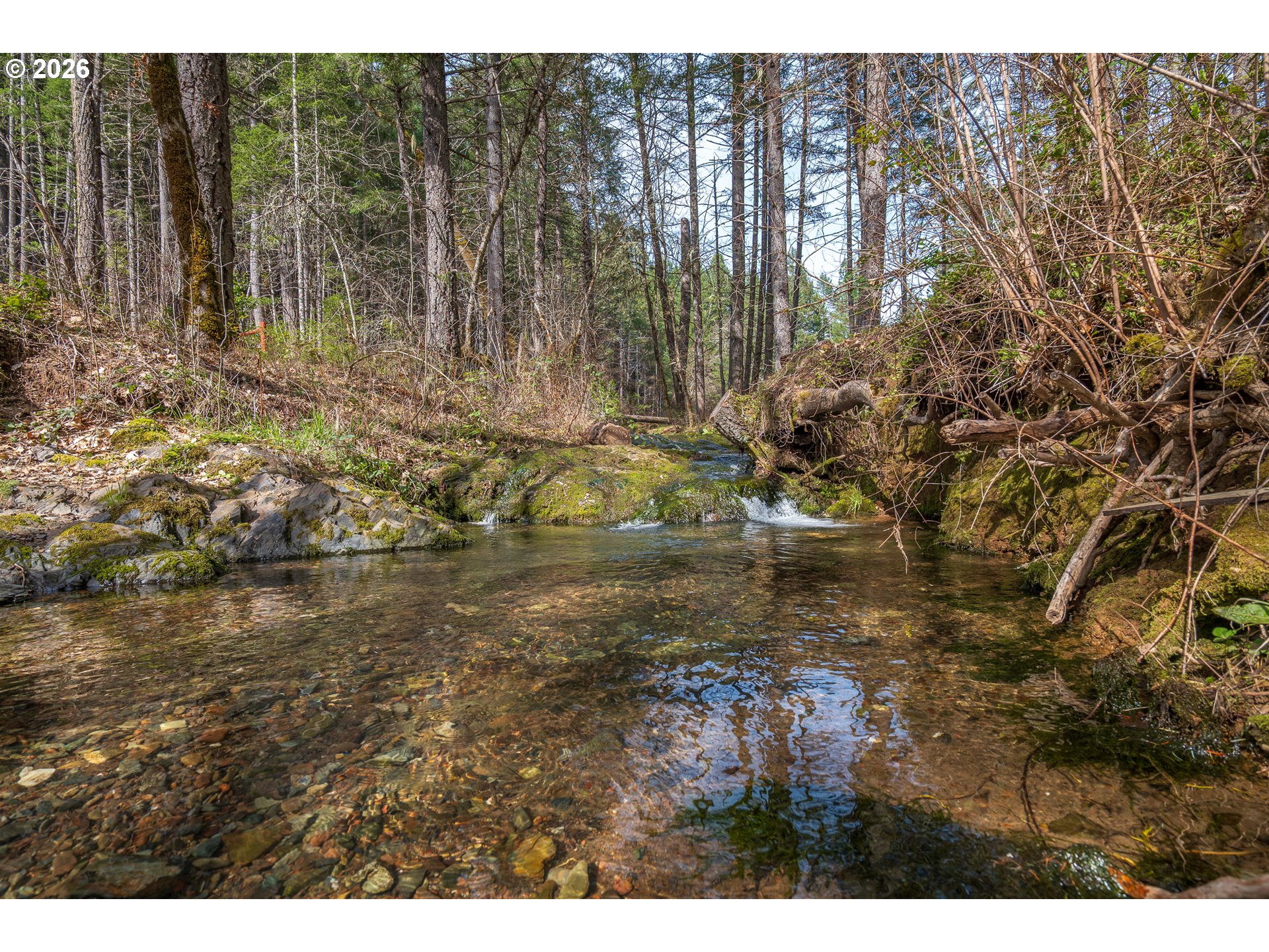 322 Round Prairie Road Wilderville, OR 97543 - Photo 40 of 43 Creek