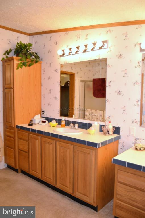 12730 Selby Road Bishopville, MD 21813 - Photo 12 of 19 Gallery Image 12
