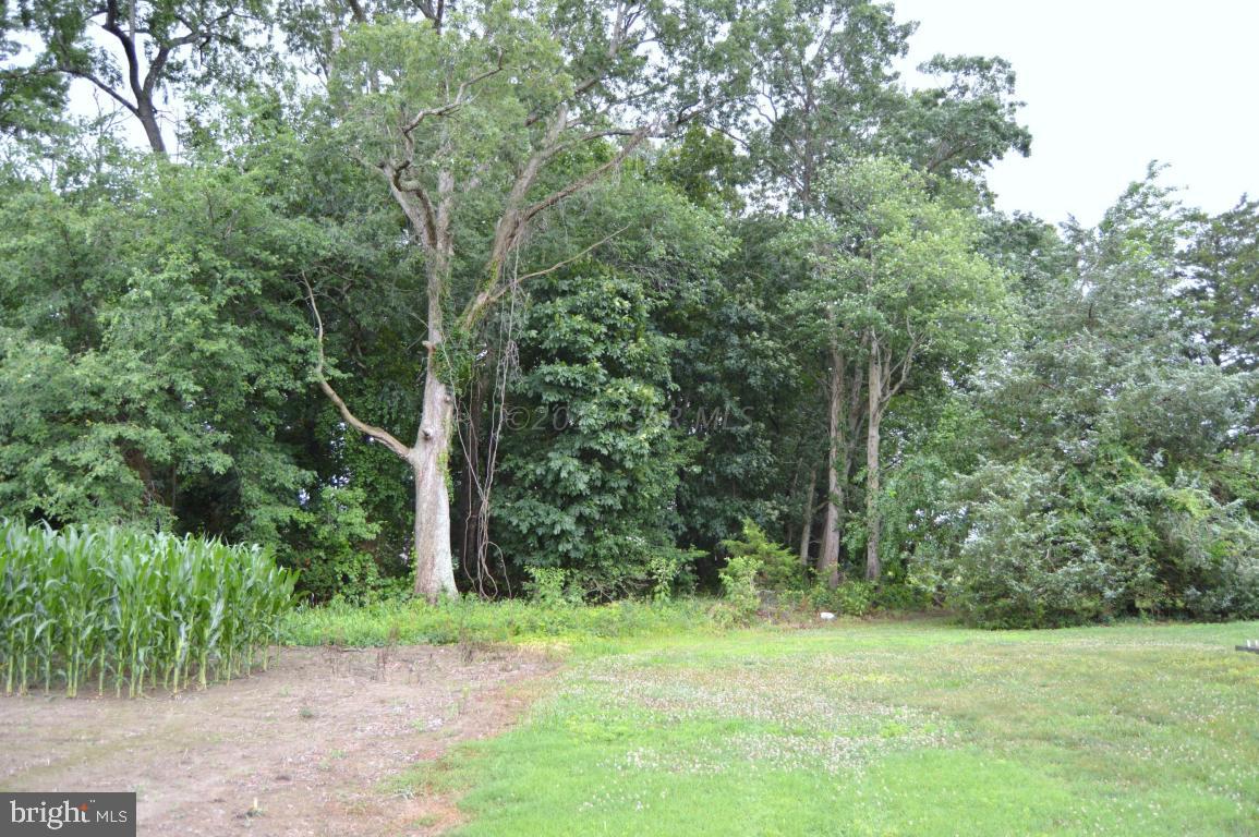 12730 Selby Road Bishopville, MD 21813 - Photo 19 of 19 Gallery Image 19