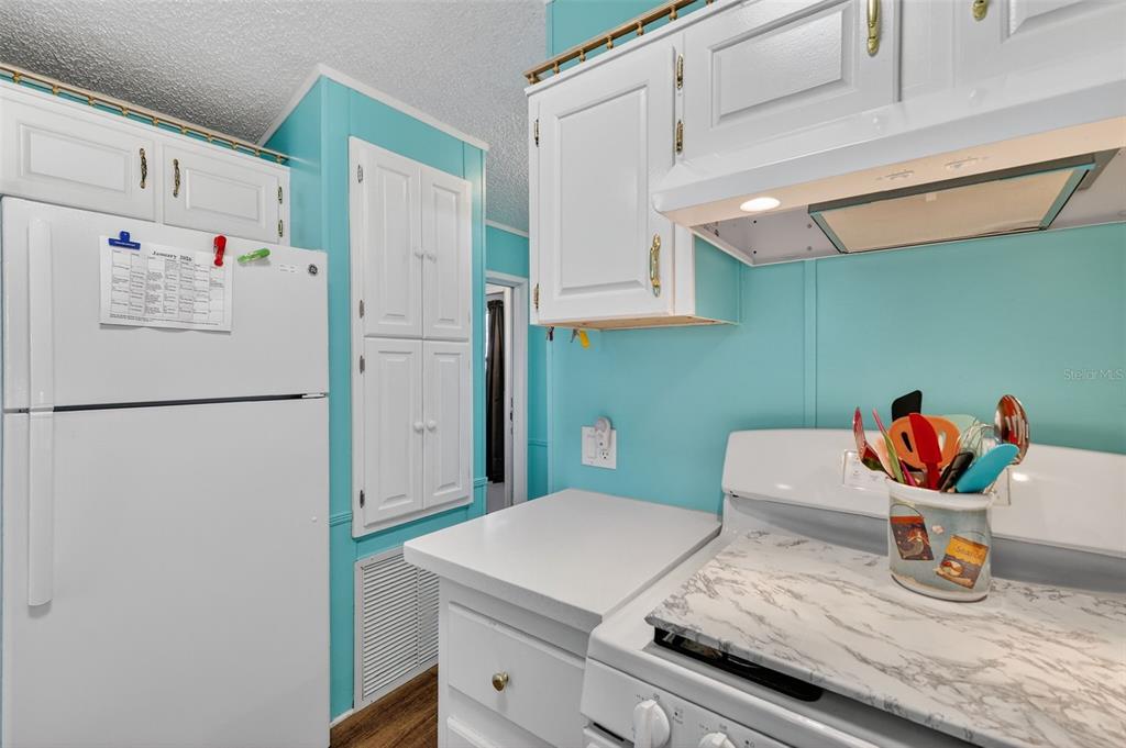 38237 Oriole Way Leesburg, FL 34788 - Photo 13 of 25 a kitchen with a refrigerator and a sink