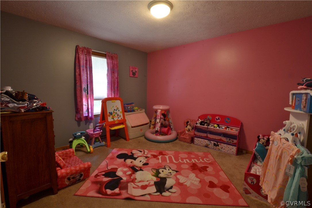 57 East Spring Road Aylett, VA 23009 - Photo 10 of 26 Gallery Image 10
