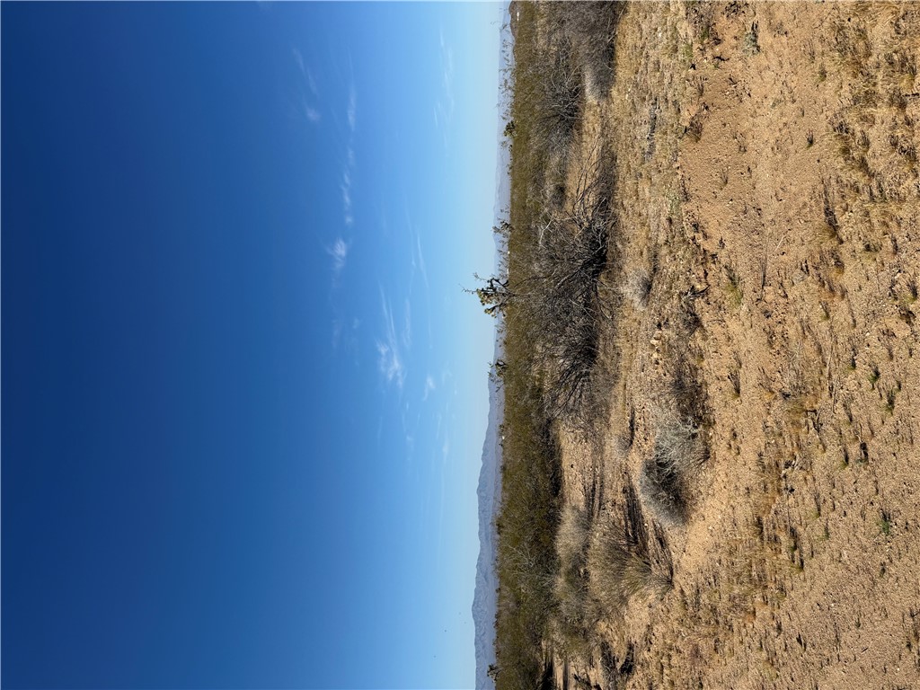 245-26-039 Raley Road Yucca, AZ 86438 - Photo 4 of 6