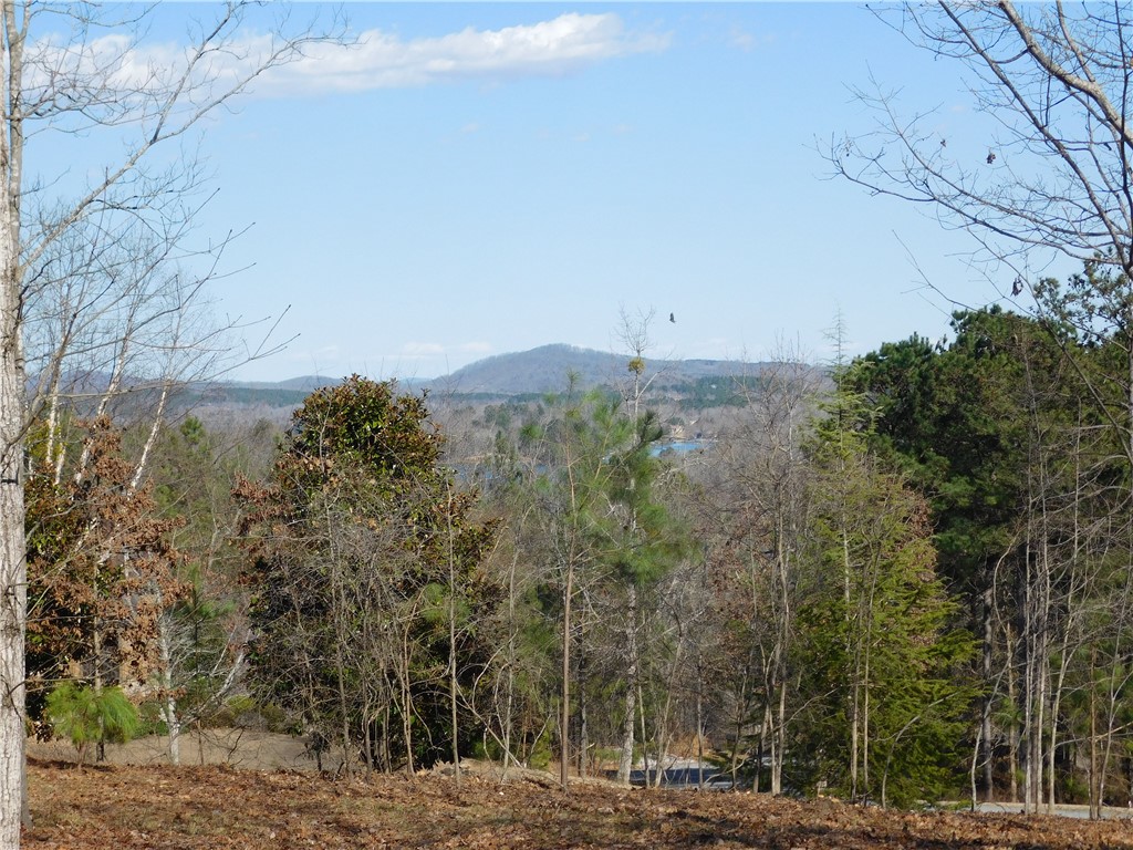 Jc5 Eagles Bend Trail Salem, SC 29676 - Photo 3 of 8
