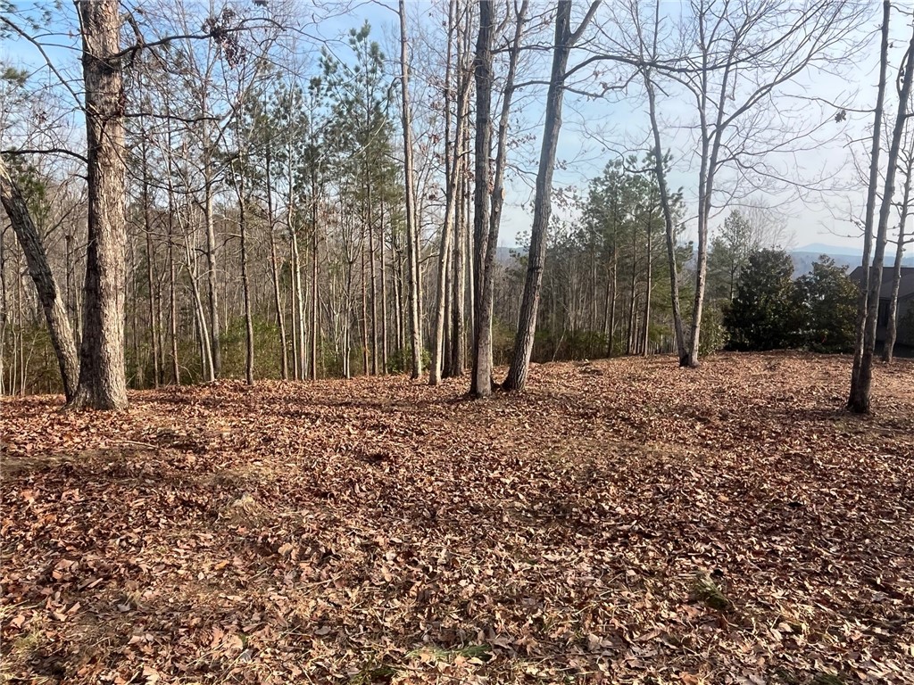 Jc5 Eagles Bend Trail Salem, SC 29676 - Photo 4 of 8