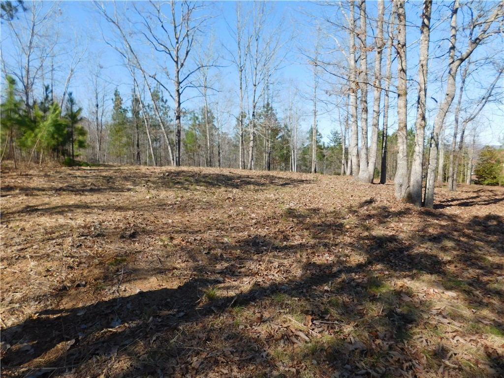 Jc5 Eagles Bend Trail Salem, SC 29676 - Photo 5 of 8