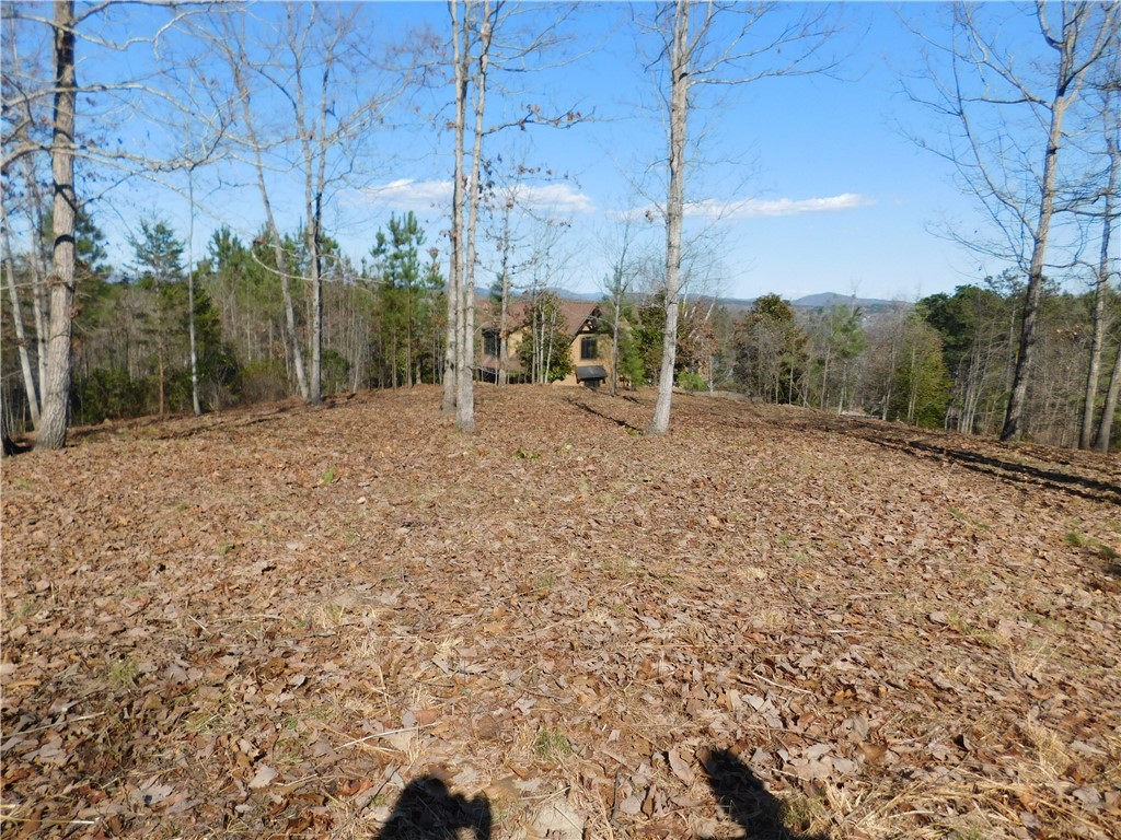 Jc5 Eagles Bend Trail Salem, SC 29676 - Photo 7 of 8