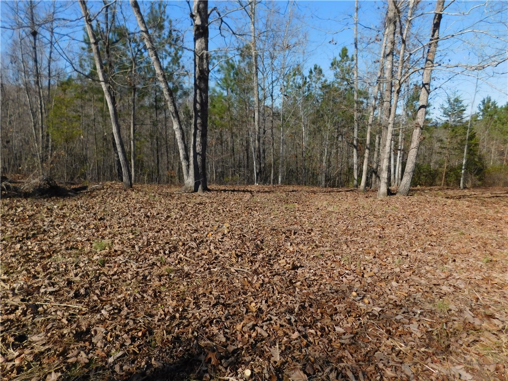 Jc5 Eagles Bend Trail Salem, SC 29676 - Photo 8 of 8