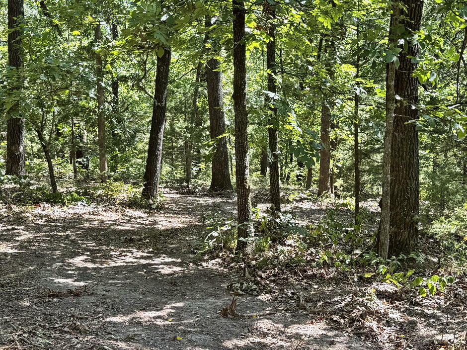 0 Southeast 871 Road Collins, MO 64738 - Photo 19 of 26 19