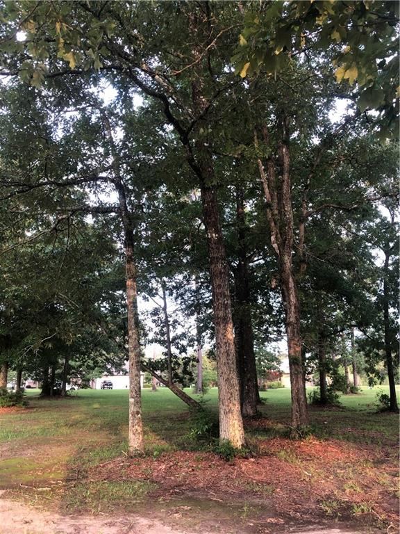 30815 Wild Iris Way Springfield, LA 70462 - Photo 3 of 9 Gallery Image 3