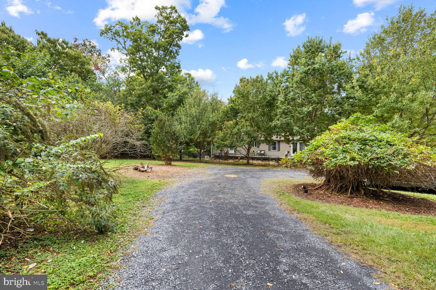 2891 Saumsville Road Maurertown, VA 22644 - Photo 58 of 68 Driveway
