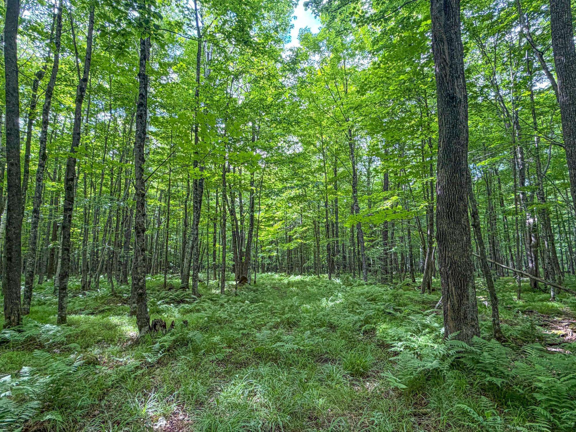 30 West Dover Road Phillips, WI 54555 - Photo 11 of 15