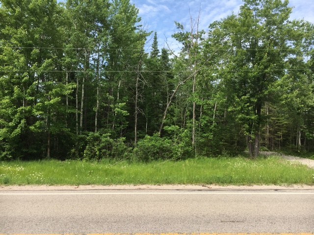 1018 North Black River Road Cheboygan, MI 49721 - Photo 2 of 4 1848160-1.JPG