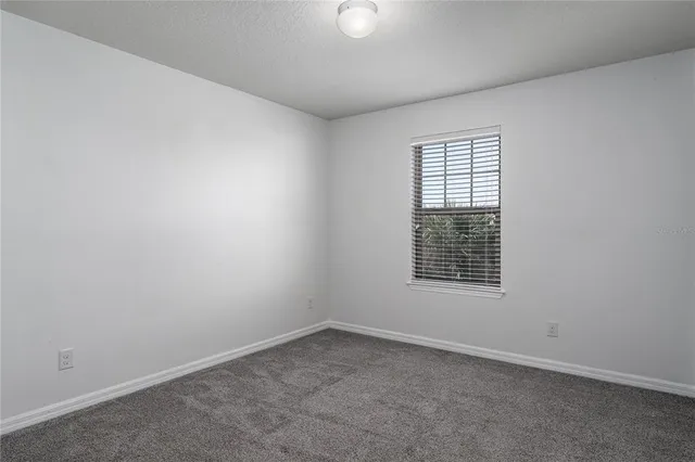 a view of a park with a tree