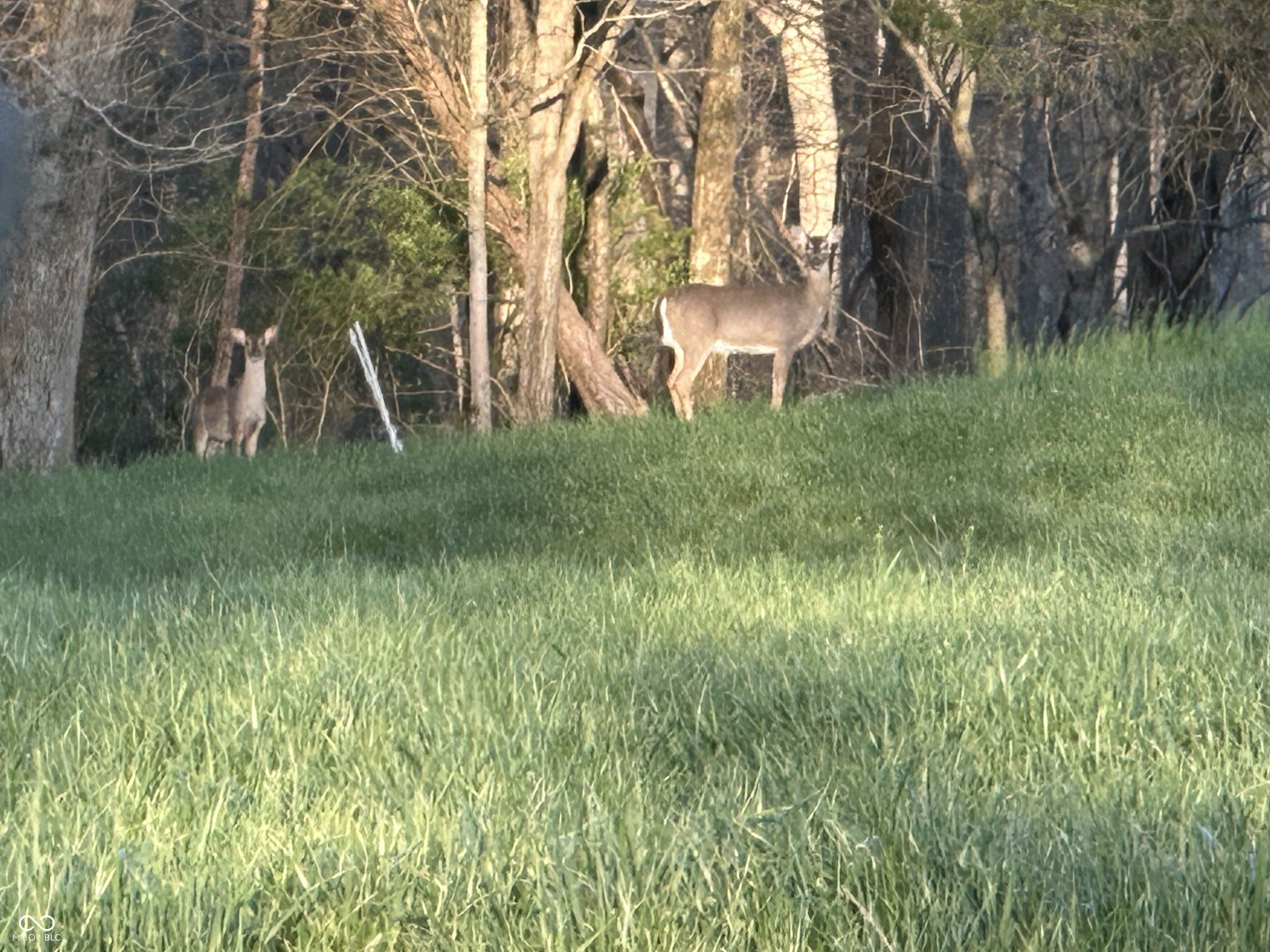 1 Snail Creek Road Brookville, IN 47012 - Photo 22 of 24 Gallery Image 22
