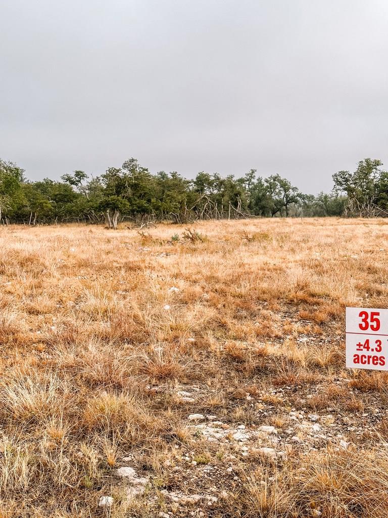 Lot 35 Nott Branch Road, Unit 35 Harper, TX 78631 - Photo 3 of 10