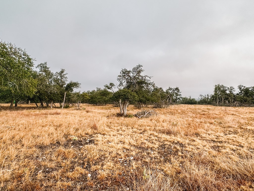 Lot 35 Nott Branch Road, Unit 35 Harper, TX 78631 - Photo 5 of 10