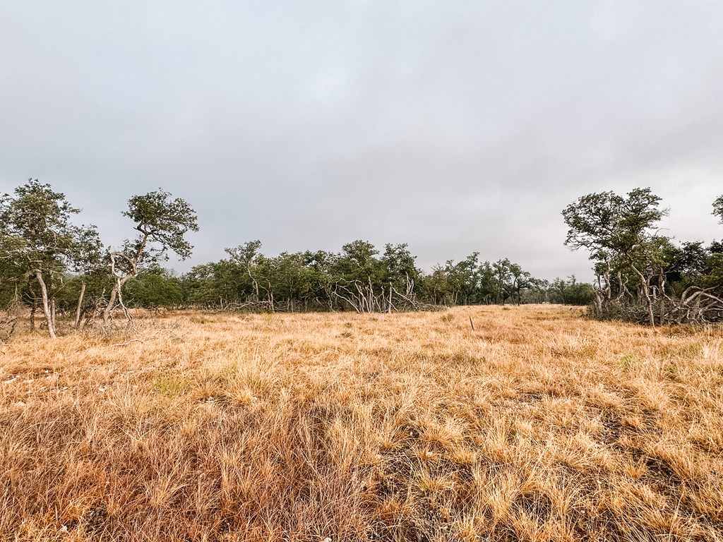 Lot 35 Nott Branch Road, Unit 35 Harper, TX 78631 - Photo 6 of 10