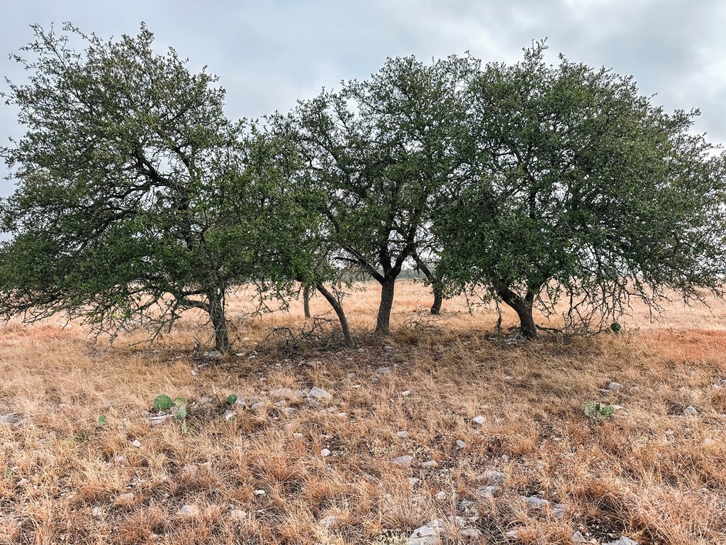 Lot 35 Nott Branch Road, Unit 35 Harper, TX 78631 - Photo 7 of 10