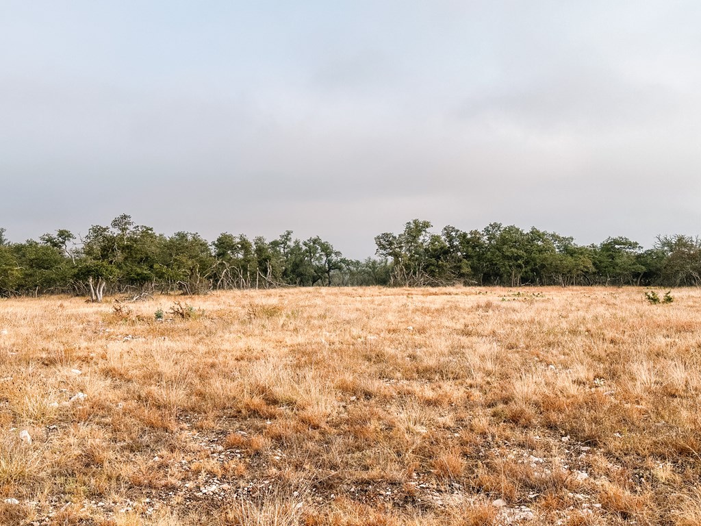 Lot 35 Nott Branch Road, Unit 35 Harper, TX 78631 - Photo 8 of 10