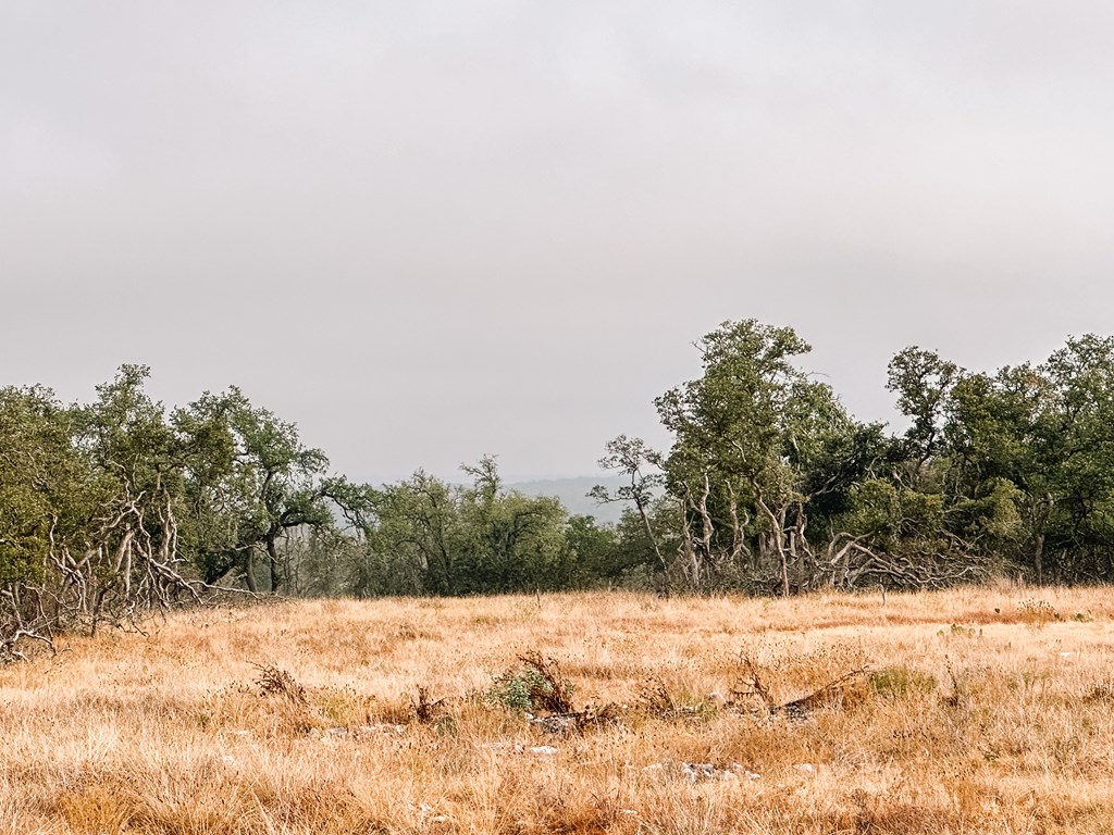 Lot 35 Nott Branch Road, Unit 35 Harper, TX 78631 - Photo 10 of 10
