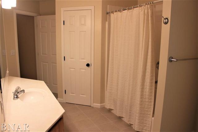 17462 Parnell Road Dewitt, IL 61735 - Photo 18 of 32