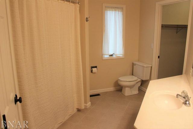 17462 Parnell Road Dewitt, IL 61735 - Photo 20 of 32