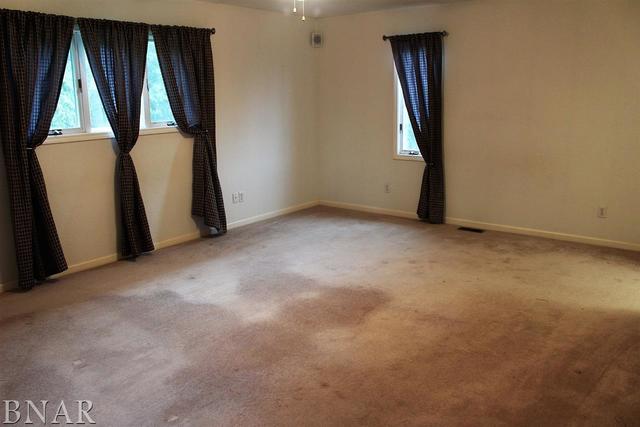 17462 Parnell Road Dewitt, IL 61735 - Photo 21 of 32