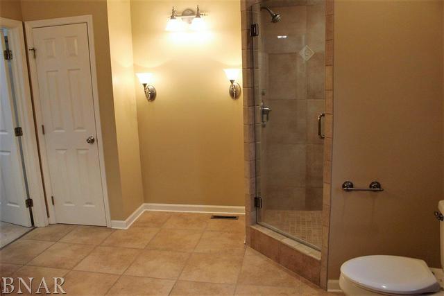 17462 Parnell Road Dewitt, IL 61735 - Photo 26 of 32