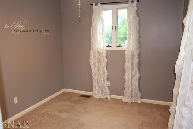 17462 Parnell Road Dewitt, IL 61735 - Photo 30 of 32