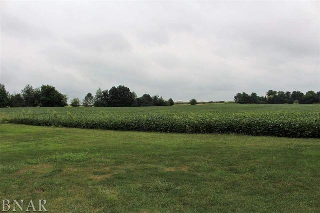 17462 Parnell Road Dewitt, IL 61735 - Photo 6 of 32