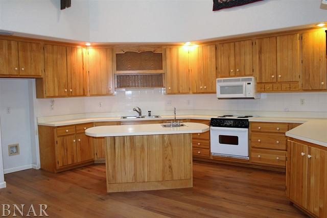 17462 Parnell Road Dewitt, IL 61735 - Photo 9 of 32