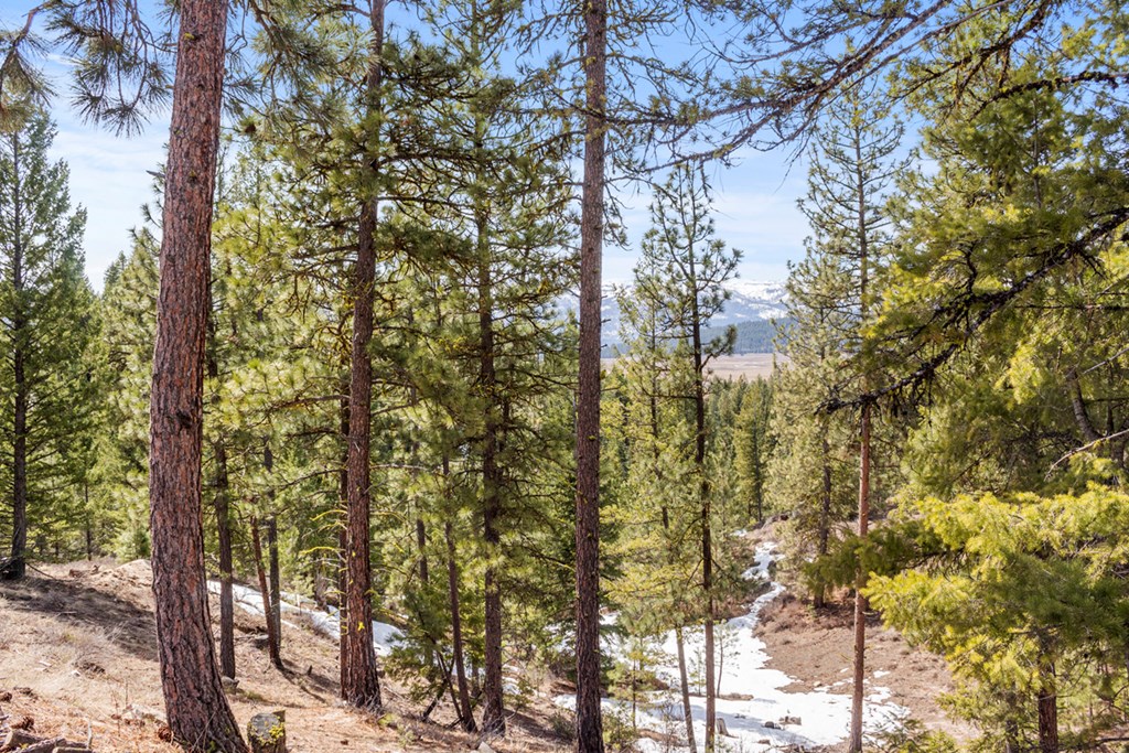 17 Tito Trail, Unit 1 Cascade, ID 83611 - Photo 13 of 16 Views From the Pad Site