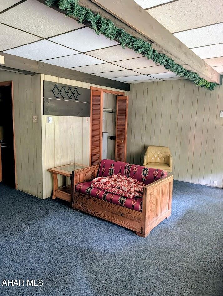 198 Blue Knob Road Portage, PA 15946 - Photo 18 of 111 Gallery Image 18
