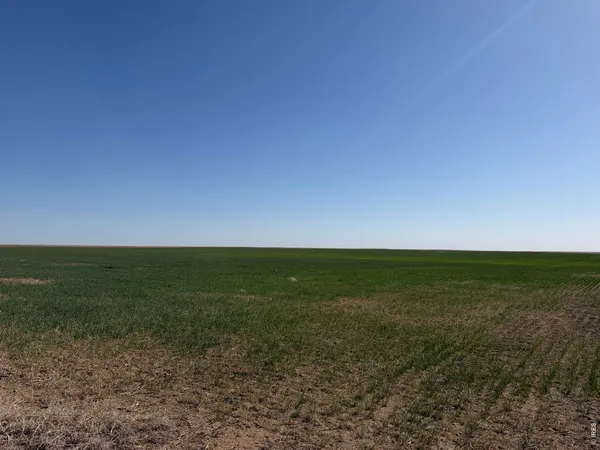 a view of a field with an ocean