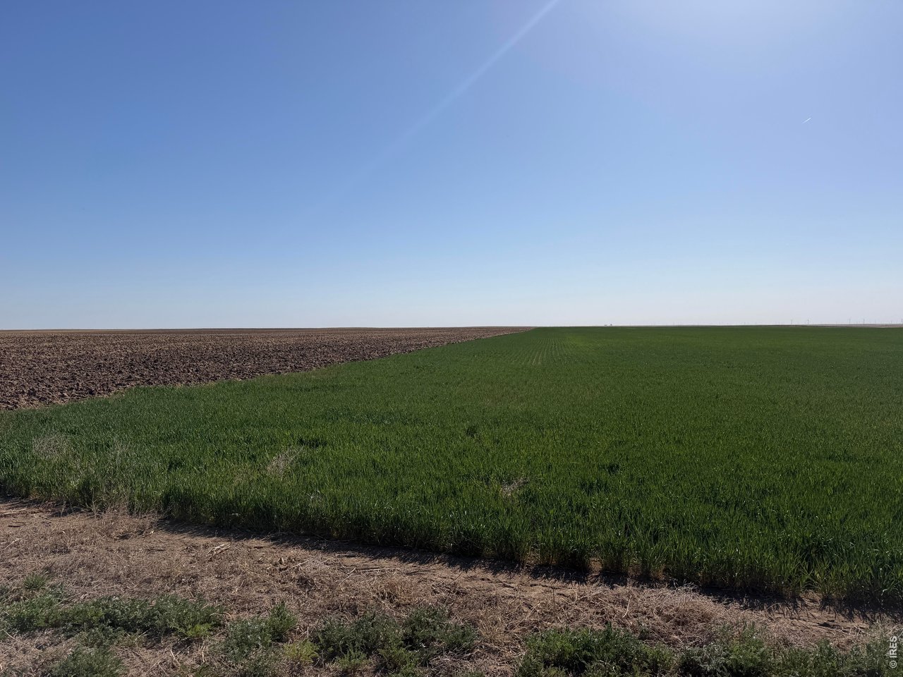 600 6th Roads Flagler, CO 80815 - Photo 7 of 13 a view of a field with an ocean