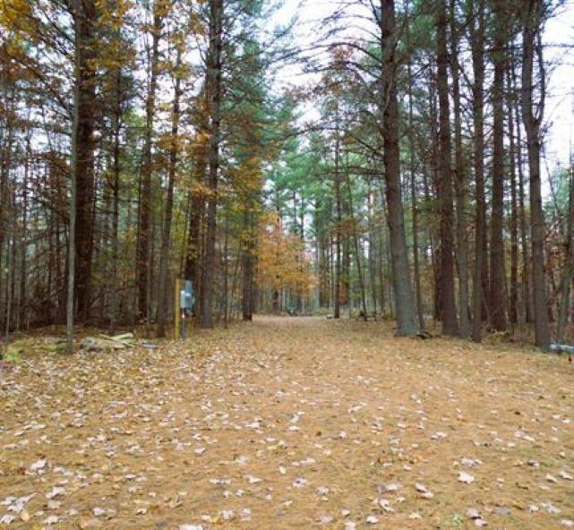 2600 Sugar River Road Gladwin, MI 48624 - Photo 24 of 35 Gallery Image 24
