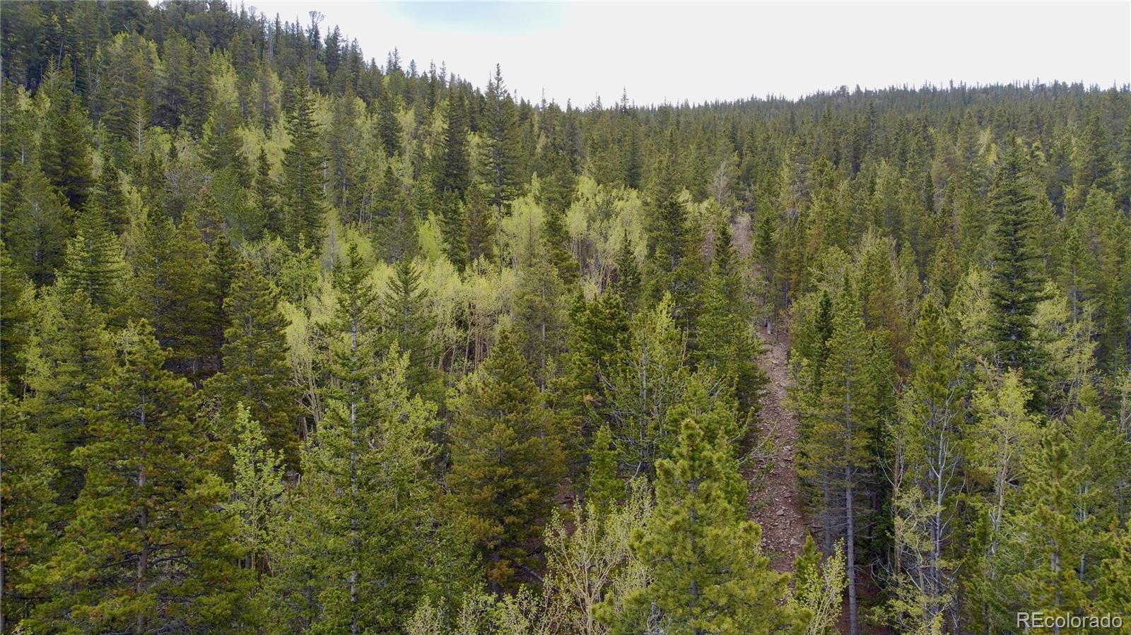 0 Hidden Wilderness Road Evergreen, CO 80439 - Photo 12 of 29