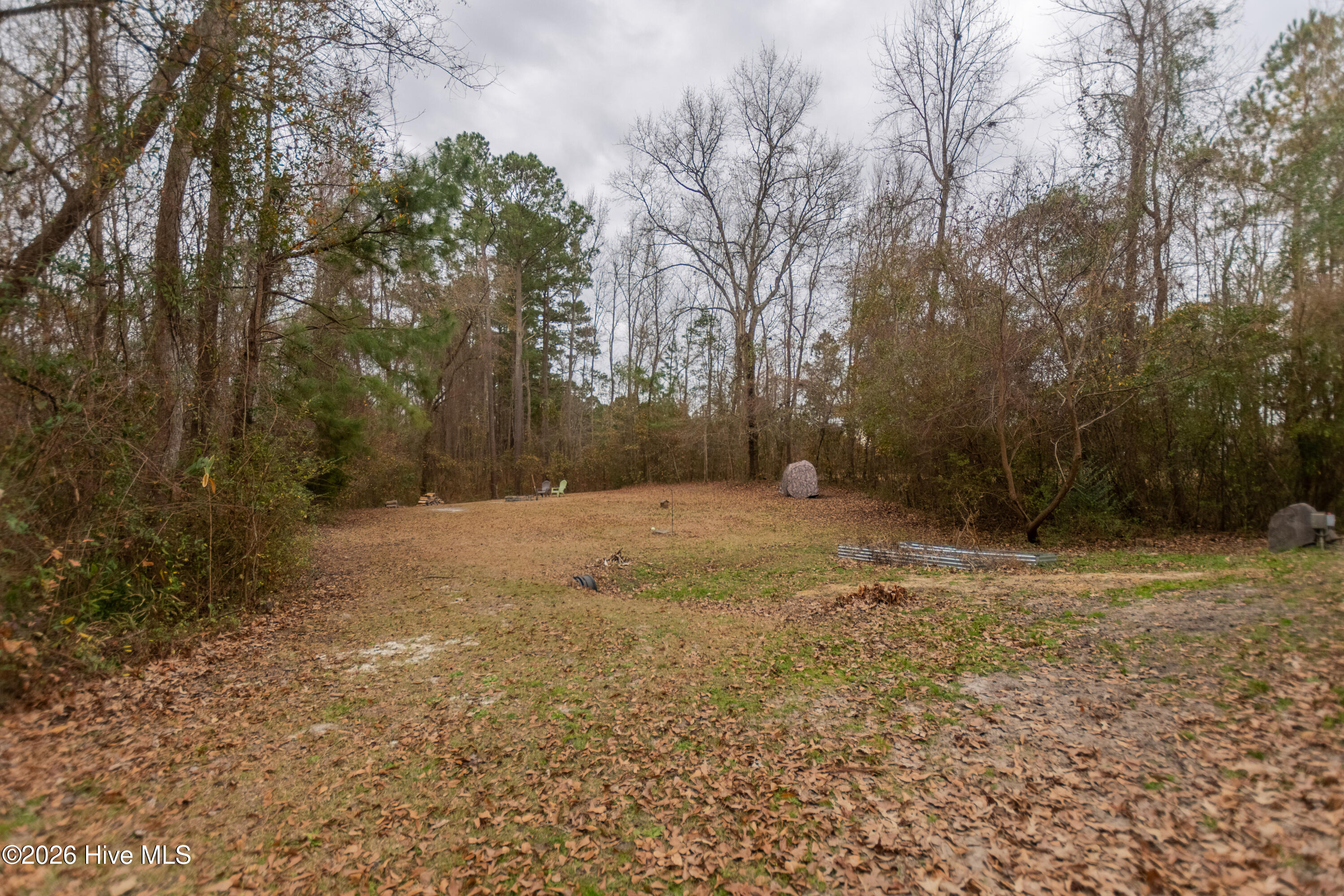 206 Hominy Court Hubert, NC 28539 - Photo 24 of 27 Backyard