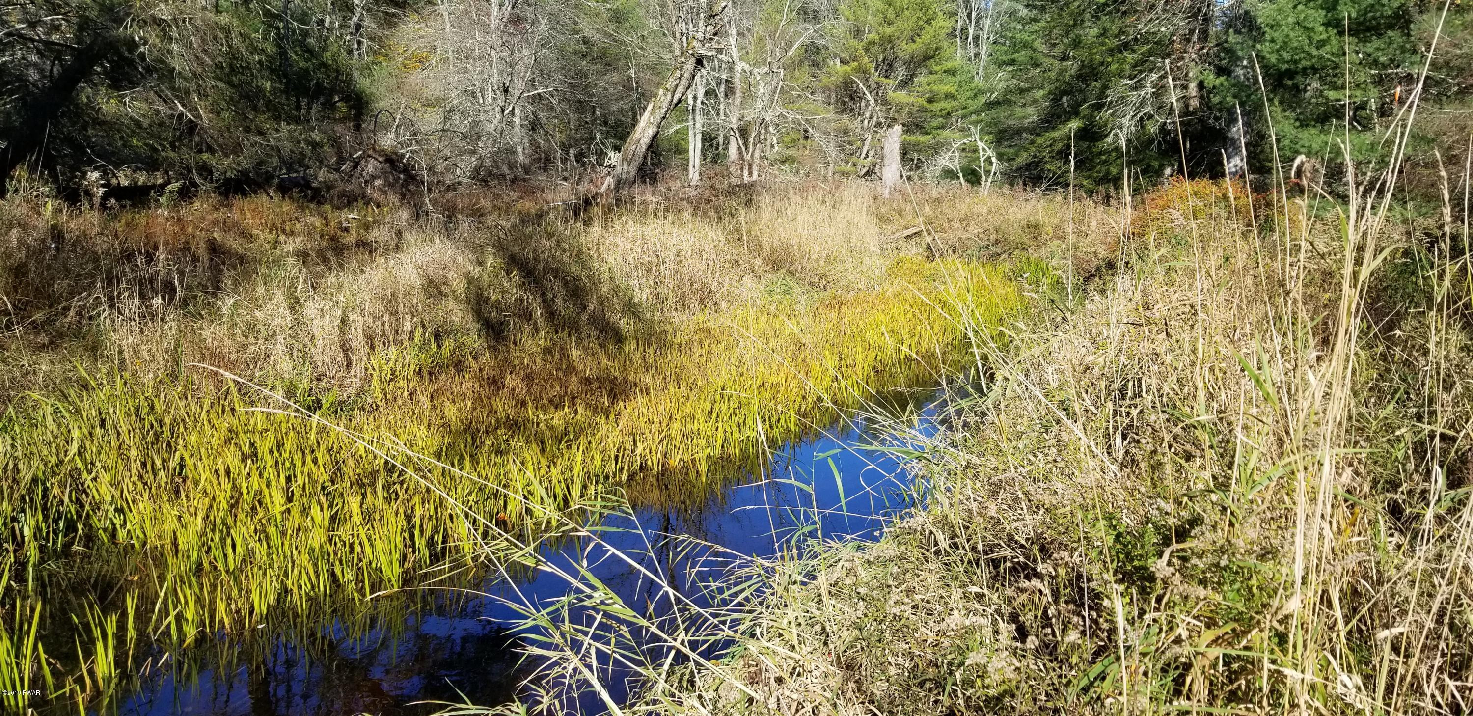 Lot #22 Swamp Pond Road Narrowsburg, NY 12764 - Photo 16 of 36