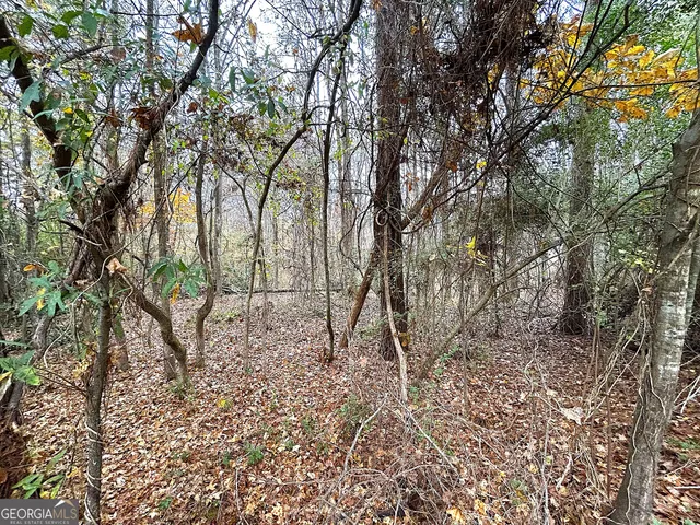 a view of a yard with large trees