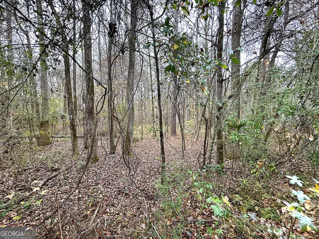 a view of a yard with plants and trees