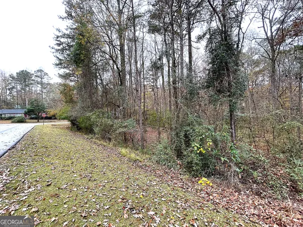 a view of a yard with large trees