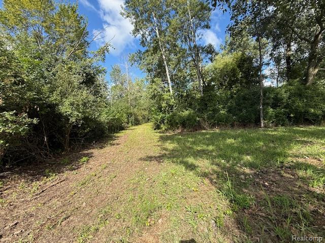 0 Capac Road Yale, MI 48097 - Photo 24 of 36 IMG_5628.jpg